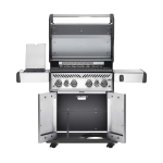 Газовый гриль Napoleon Rogue 525 SE (стальной, с ИК горелкой 3/3)Газовый гриль Napoleon Rogue 525 SE (стальной, с ИК горелкой 3/3) (вид b)